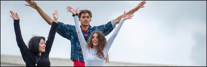 Newsletters - ICOM CECA - ICOM CECA